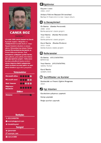 Bankacı Örnek cv indir